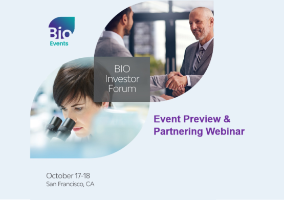 BIF 2023 preview webinar title image